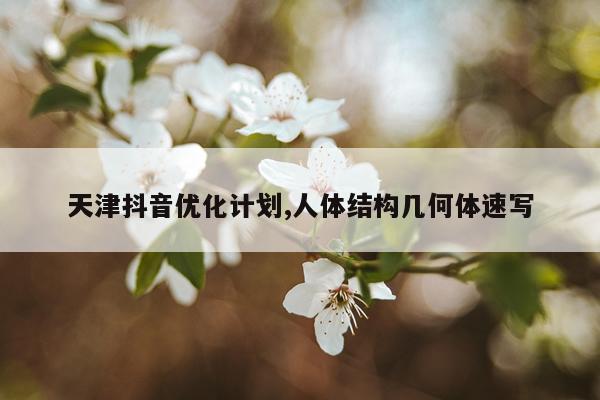 天津抖音优化计划,人体结构几何体速写