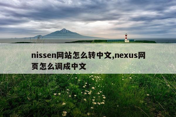 nissen网站怎么转中文,nexus网页怎么调成中文