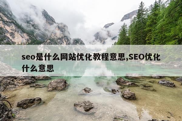 seo是什么网站优化教程意思,SEO优化什么意思