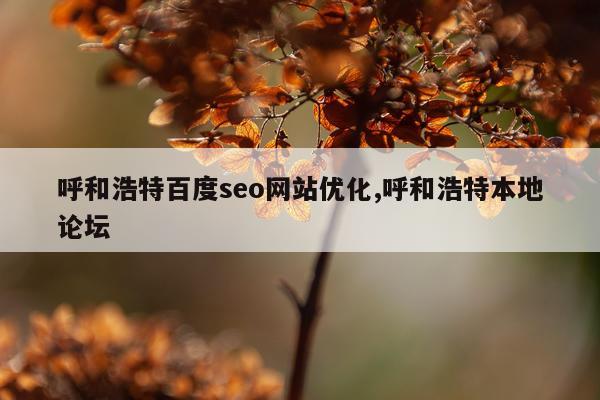 呼和浩特百度seo网站优化,呼和浩特本地论坛