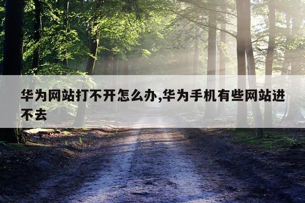 华为网站打不开怎么办,华为手机有些网站进不去