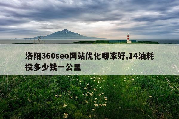 洛阳360seo网站优化哪家好,14油耗投多少钱一公里