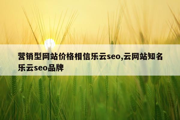 营销型网站价格相信乐云seo,云网站知名乐云seo品牌