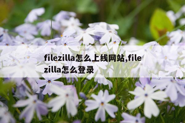 filezilla怎么上线网站,filezilla怎么登录