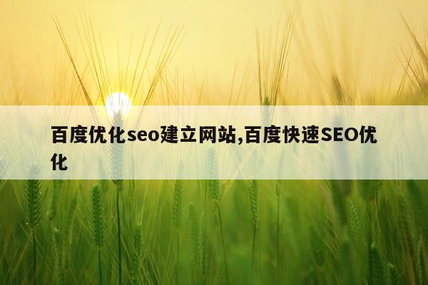 百度优化seo建立网站,百度快速SEO优化