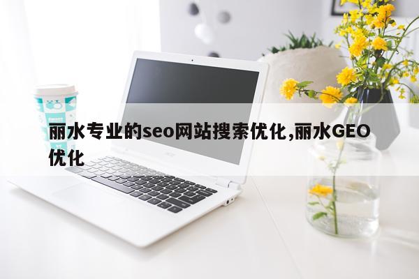 丽水专业的seo网站搜索优化,丽水GEO优化