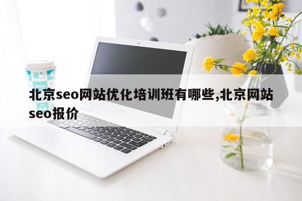 北京seo网站优化培训班有哪些,北京网站seo报价