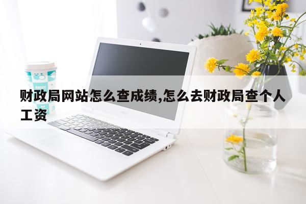 财政局网站怎么查成绩,怎么去财政局查个人工资