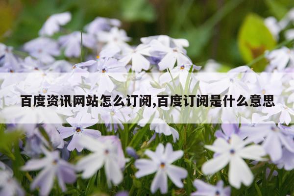 百度资讯网站怎么订阅,百度订阅是什么意思