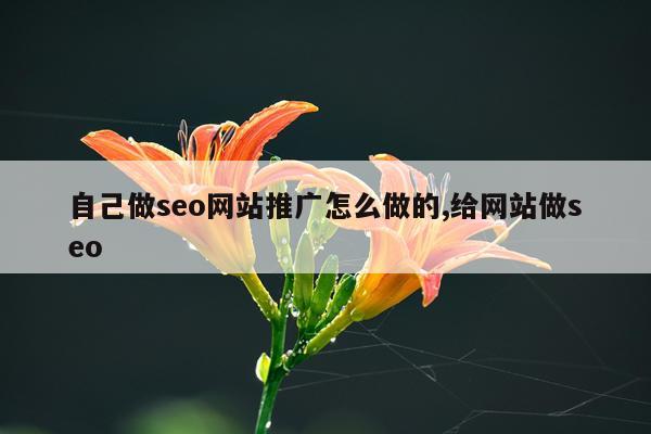 自己做seo网站推广怎么做的,给网站做seo