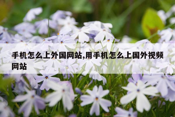 手机怎么上外国网站,用手机怎么上国外视频网站