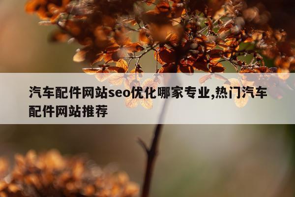 汽车配件网站seo优化哪家专业,热门汽车配件网站推荐