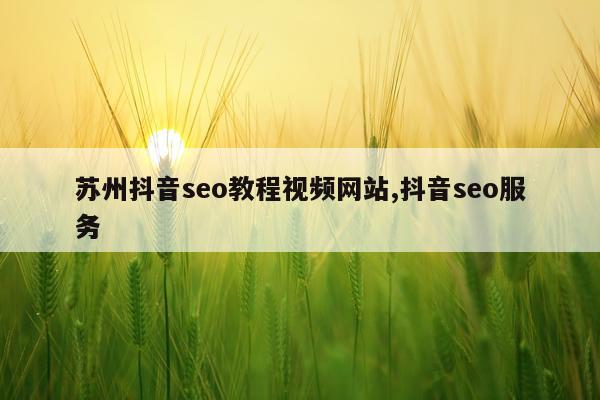 苏州抖音seo教程视频网站,抖音seo服务