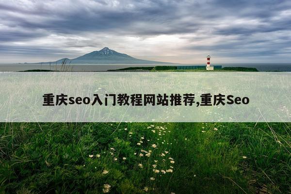 重庆seo入门教程网站推荐,重庆Seo