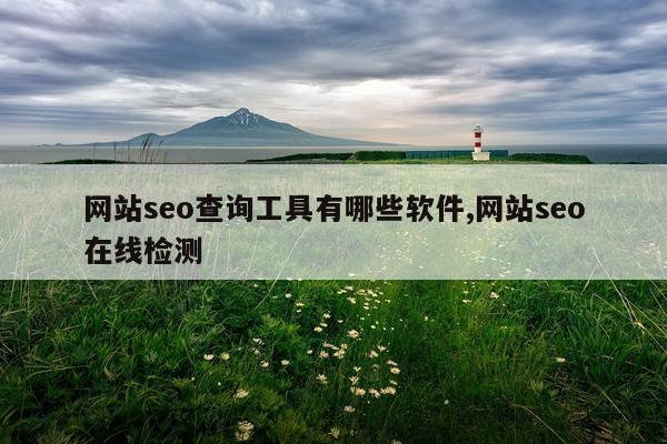 网站seo查询工具有哪些软件,网站seo在线检测