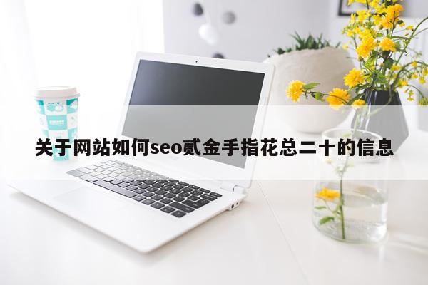 关于网站如何seo贰金手指花总二十的信息