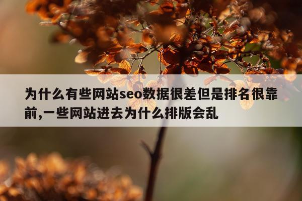 为什么有些网站seo数据很差但是排名很靠前,一些网站进去为什么排版会乱