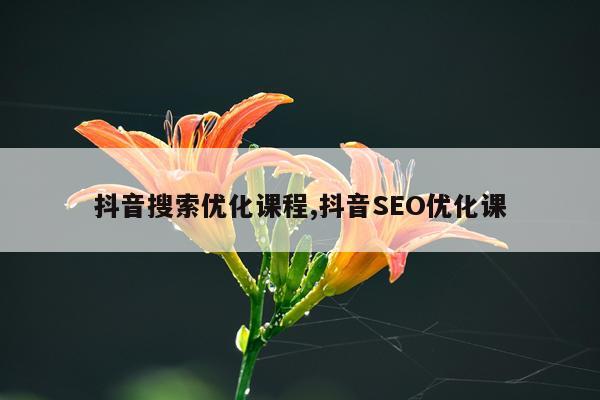 抖音搜索优化课程,抖音SEO优化课