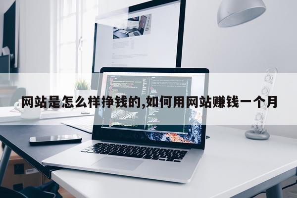 网站是怎么样挣钱的,如何用网站赚钱一个月