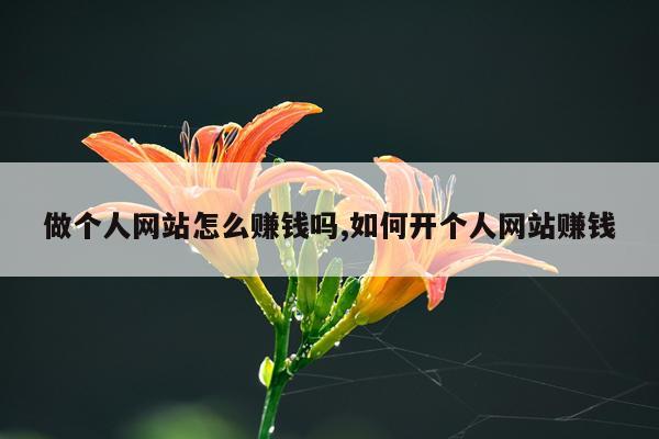 做个人网站怎么赚钱吗,如何开个人网站赚钱