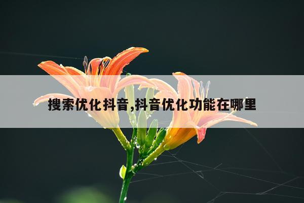 搜索优化抖音,抖音优化功能在哪里