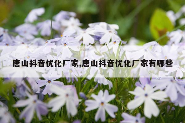 唐山抖音优化厂家,唐山抖音优化厂家有哪些