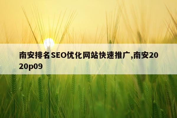 南安排名SEO优化网站快速推广,南安2020p09