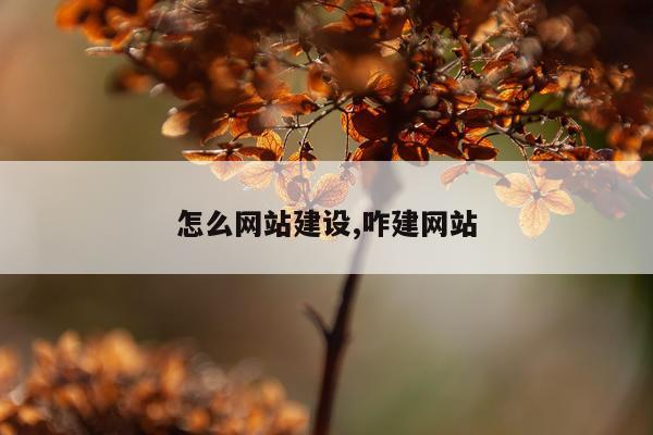 怎么网站建设,咋建网站