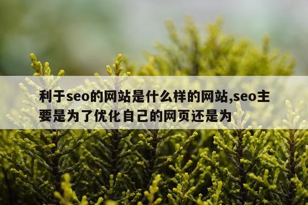 利于seo的网站是什么样的网站,seo主要是为了优化自己的网页还是为