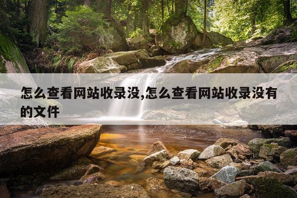 怎么查看网站收录没,怎么查看网站收录没有的文件