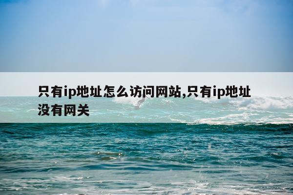 只有ip地址怎么访问网站,只有ip地址 没有网关