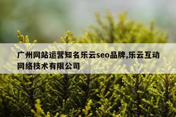广州网站运营知名乐云seo品牌,乐云互动网络技术有限公司