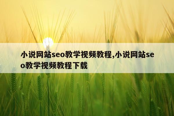 小说网站seo教学视频教程,小说网站seo教学视频教程下载