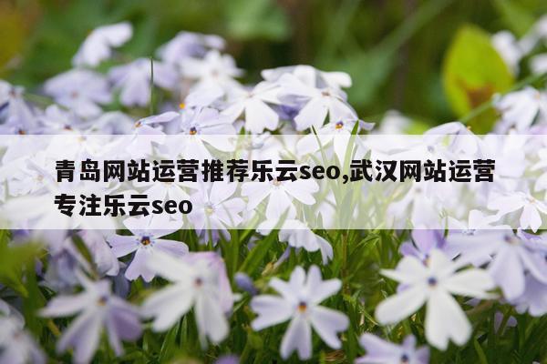 青岛网站运营推荐乐云seo,武汉网站运营专注乐云seo