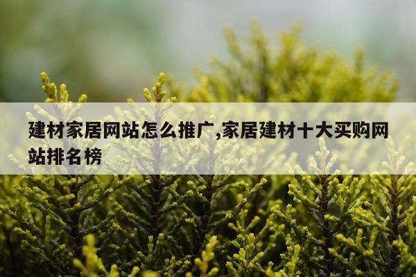 建材家居网站怎么推广,家居建材十大买购网站排名榜