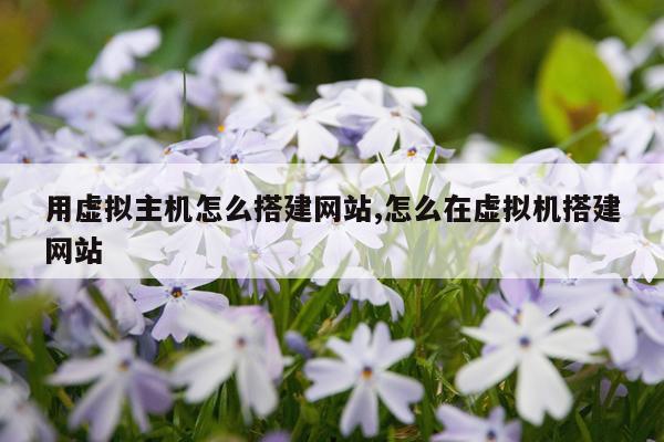 用虚拟主机怎么搭建网站,怎么在虚拟机搭建网站
