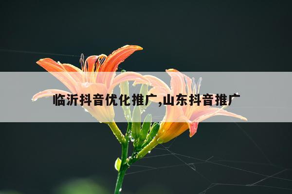 临沂抖音优化推广,山东抖音推广
