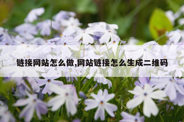 链接网站怎么做,网站链接怎么生成二维码