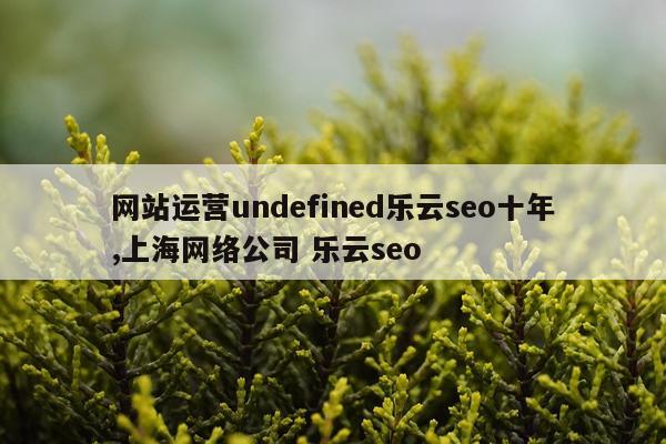 网站运营undefined乐云seo十年,上海网络公司 乐云seo