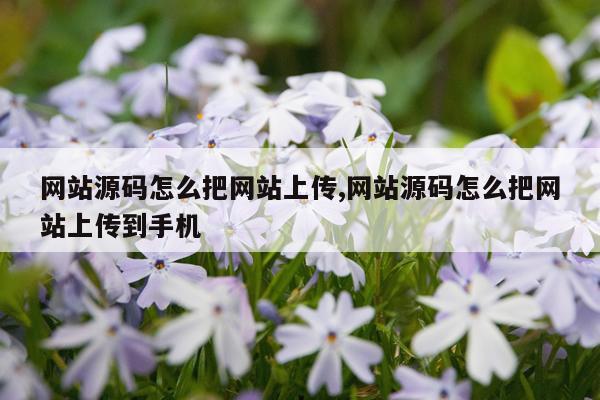 网站源码怎么把网站上传,网站源码怎么把网站上传到手机