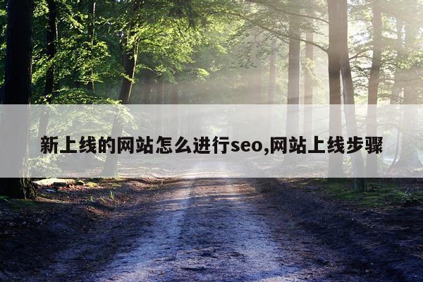 新上线的网站怎么进行seo,网站上线步骤