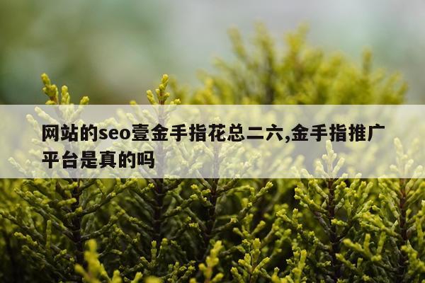 网站的seo壹金手指花总二六,金手指推广平台是真的吗