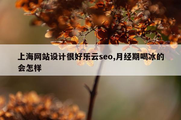 上海网站设计很好乐云seo,月经期喝冰的会怎样
