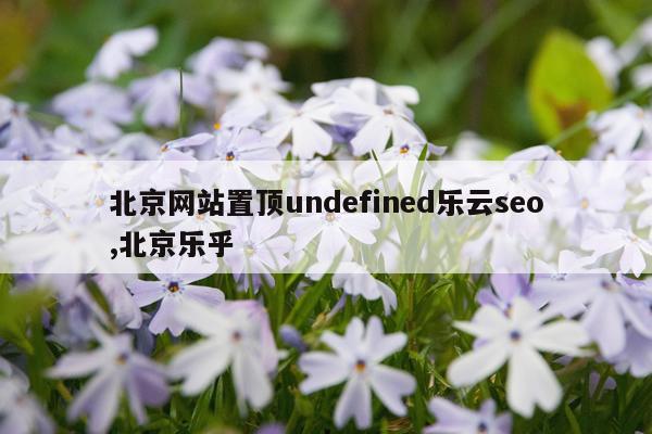 北京网站置顶undefined乐云seo,北京乐乎