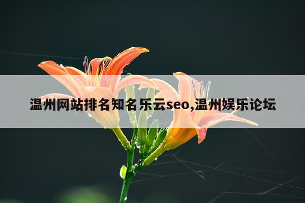 温州网站排名知名乐云seo,温州娱乐论坛