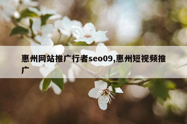 惠州网站推广行者seo09,惠州短视频推广