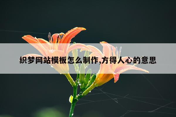 织梦网站模板怎么制作,方得人心的意思