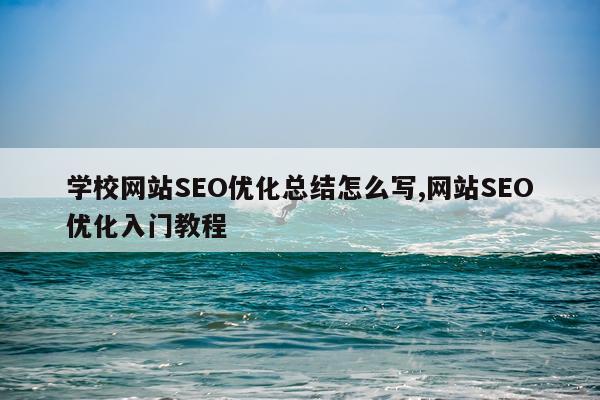 学校网站SEO优化总结怎么写,网站SEO优化入门教程