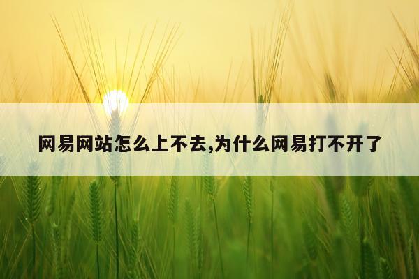 网易网站怎么上不去,为什么网易打不开了