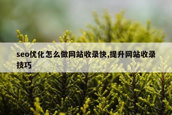 seo优化怎么做网站收录快,提升网站收录技巧